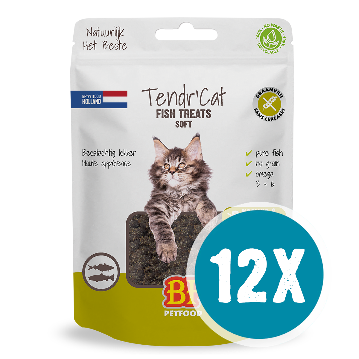 Tendr' Cat - Coalfish & Trout