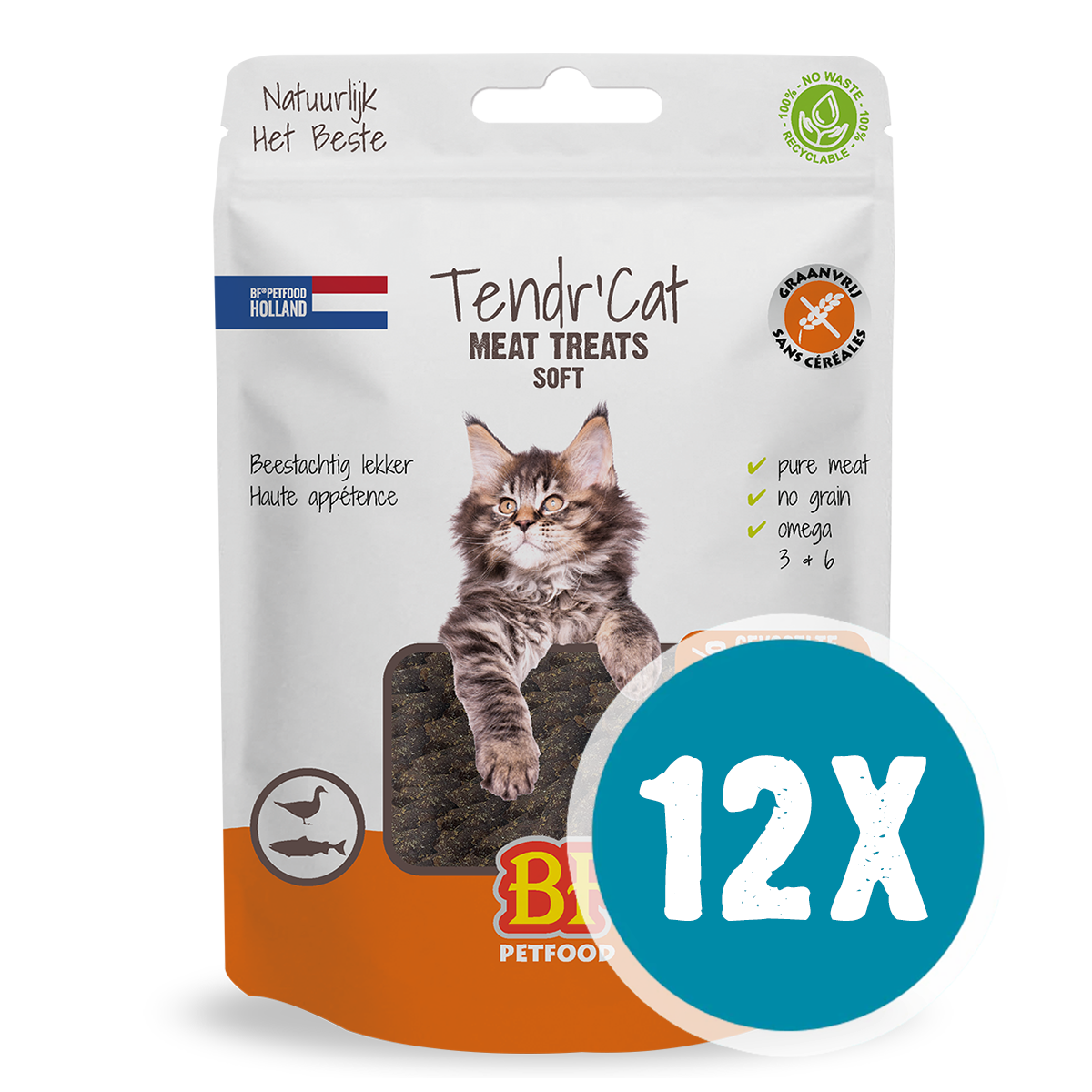 Tendr' Cat - Poultry & Salmon